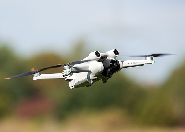 dji-mini-7509051_640.jpg